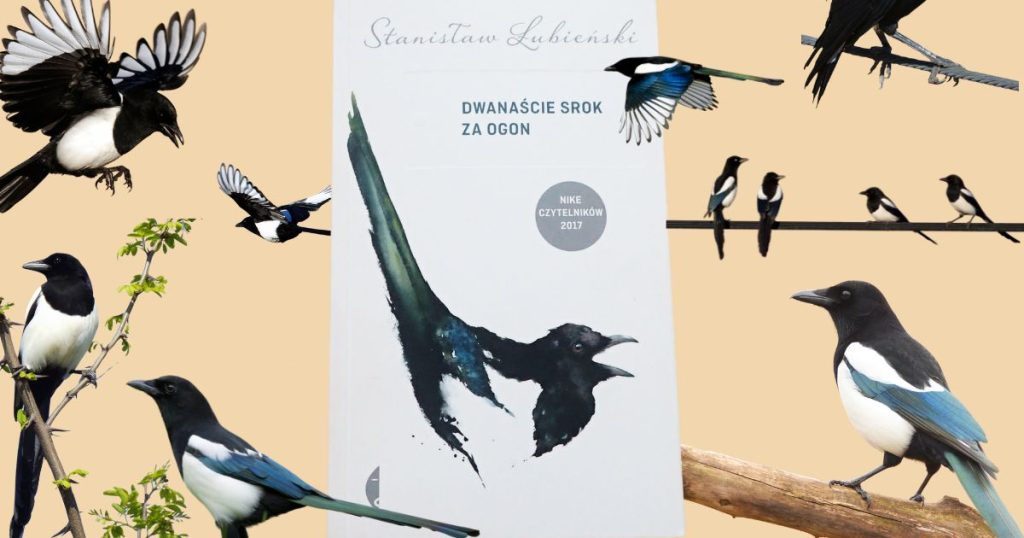 Okładka książki „Dwanaście srok za ogon"